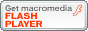 Flash��ڲ԰���޳�۰��