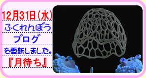 �N���C�A�j���@Pua&Tiku